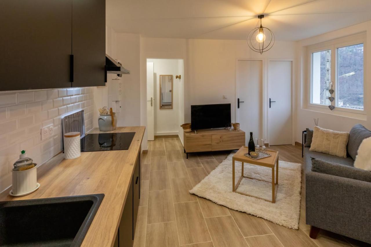 Les Appartements De Clelia Ax-les-Thermes Exterior foto